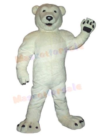 Bear mascot costume