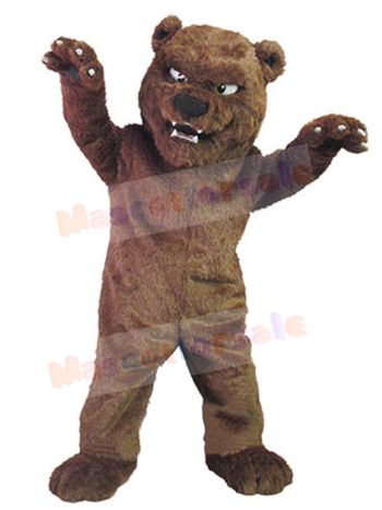 Bear mascot costume