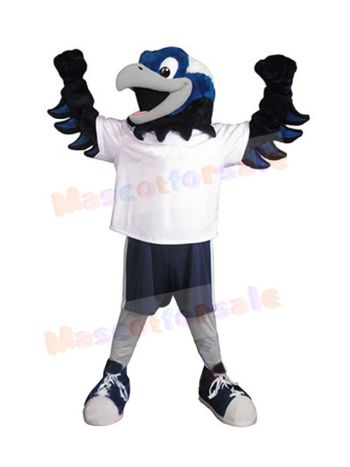 Hawk mascot costume