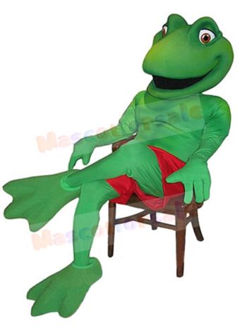 Frog mascot costume