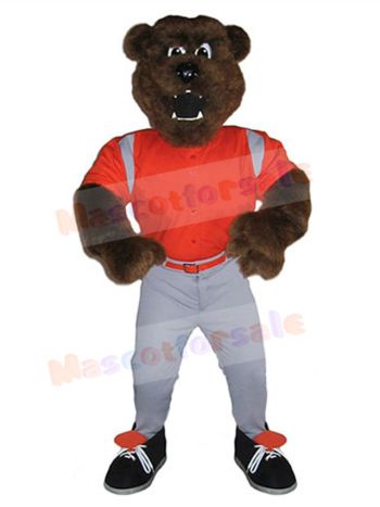Bear mascot costume