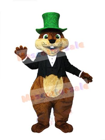 Squirrel mascot costume