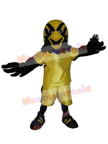Falcon mascot costume