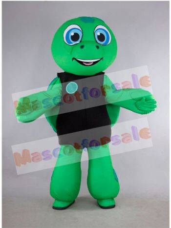 Turtle mascot costume
