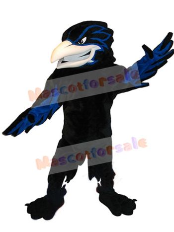Raven mascot costume