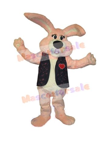 Easter Bunny Rabbit mascot costume