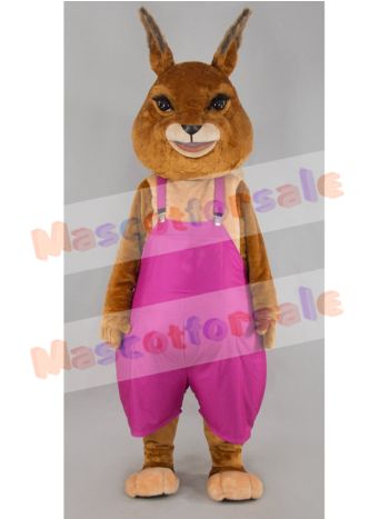 rabbit mascot costume