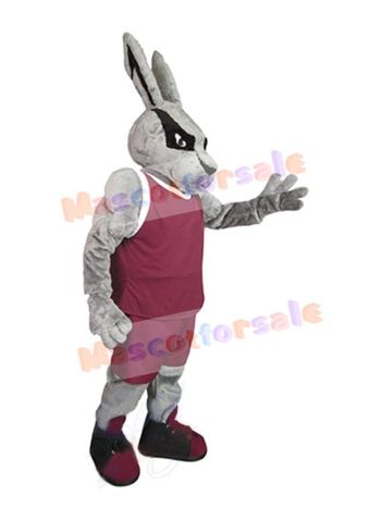 Easter Bunny Rabbit mascot costume