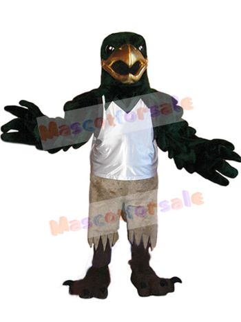 Falcon mascot costume