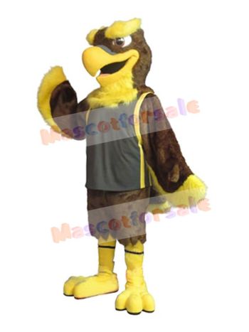 Falcon mascot costume