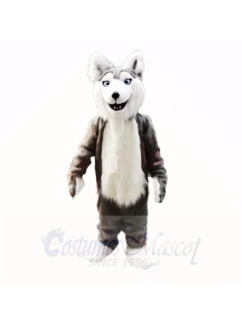 Gray Husky Dog Mascot Costumes Cartoon