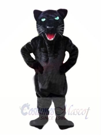 Cheap Black Panther Mascot Costumes