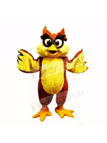 Friendly Lightweight Owl with Big Eyes Mascot Costumes School