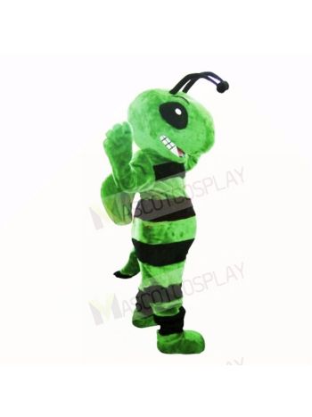 Friendly Green Bee Mascot Costumes Adult